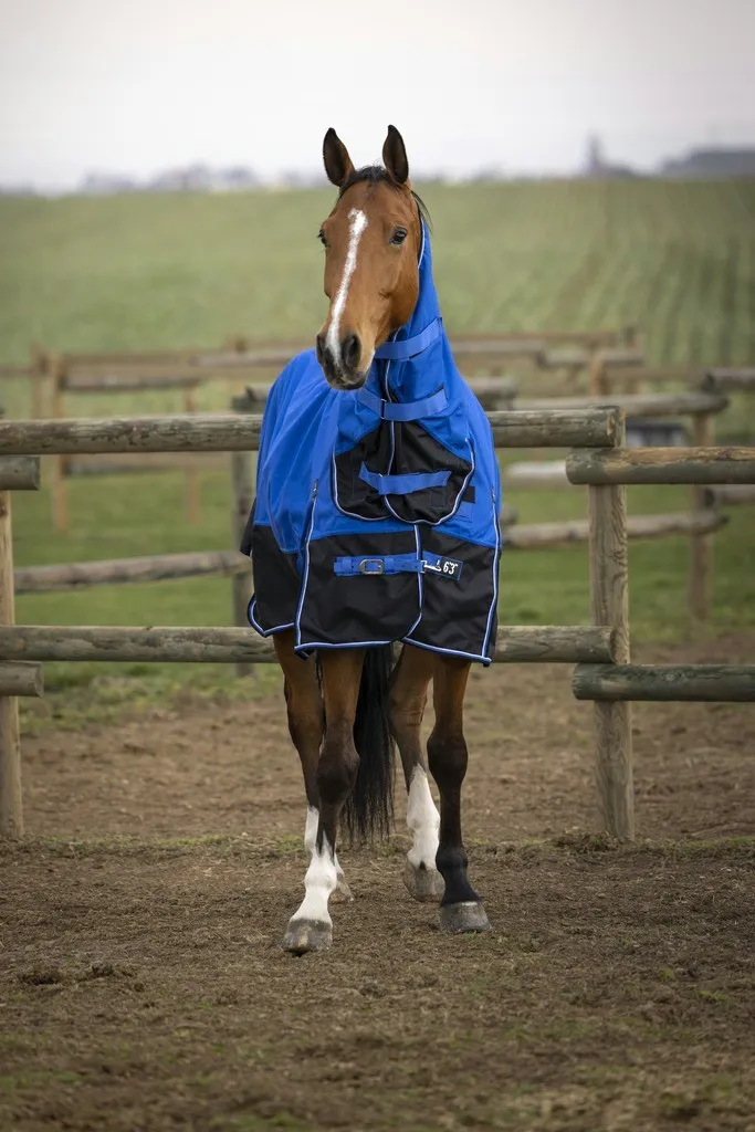 Couverture Equi-Theme Tyrex 1200D Aisance Combo pour cheval