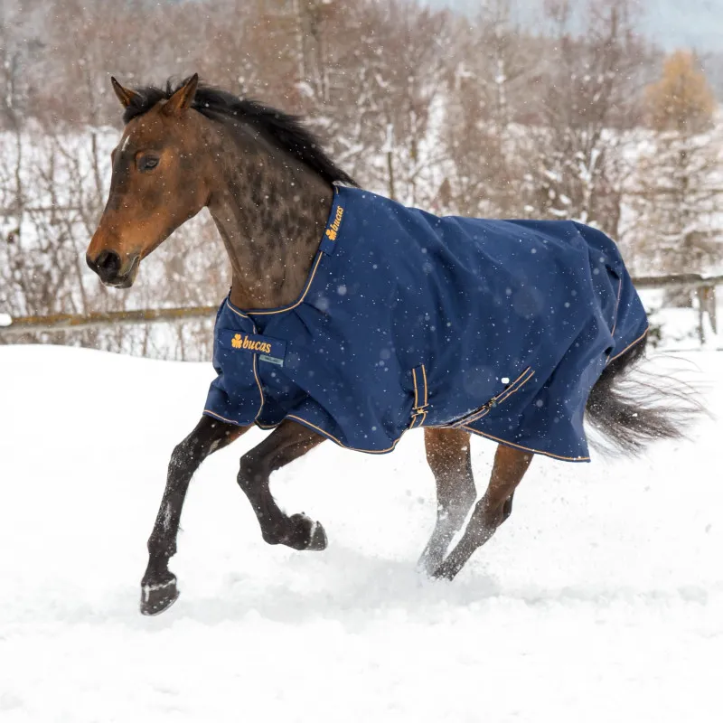 Couverture extérieur cheval 50g Irish Turnout Light - Bucas - BUCAS - Couvertures imperméables cheval - Equestra