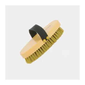 HIPPOTONIC - Brosse douce